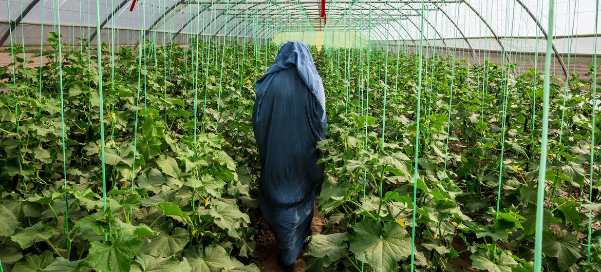 media:entermedia_image:59128274-740e-4fa9-92cd-a7676922a609