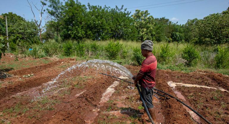 A agricultura desempenha um papel importante no equilíbrio hídrico, sendo responsável por pelo menos 70% das descargas de água doce. 