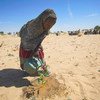 Una niña riega semillas en Merea, en el lago Chad, actividad que se ha convertido en su quehacer cotidiano.