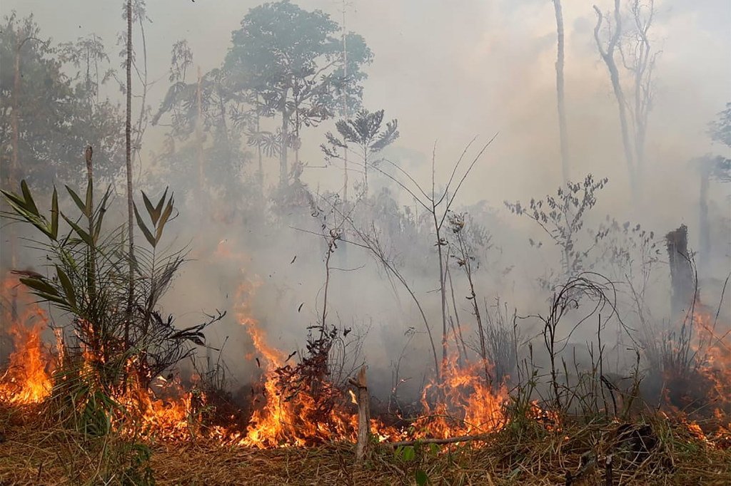 Operações prioritárias do Unicef em regiões da Amazônia afetadas por secas e incêndios florestais também acontecem no Peru