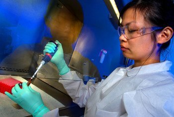 Una científica analizando una muestra sospechosa de contener una toxina bacteriana.