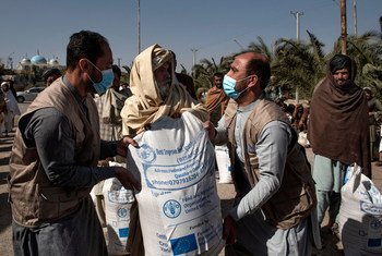 À Kandahar, en Afghanistan, Baryal Mumtaz et Feroz Aryan, membres du personnel de la FAO, aident un bénéficiaire à soulever un grand sac de semences de blé améliorées sur ses épaules.