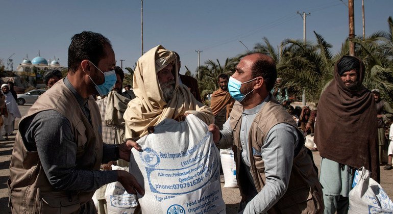 Afghanistan : une récolte de blé prometteuse menacée par la hausse du prix des engrais
