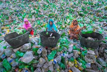 media:entermedia_image:77f358e9-48da-4b10-b7b4-5053eec849aa