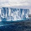 Совокупная площадь морского льда в Арктике и Антарктике в январе была самой низкой за всю историю наблюдений.