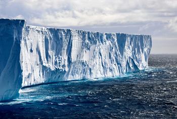 Совокупная площадь морского льда в Арктике и Антарктике в январе была самой низкой за всю историю наблюдений.