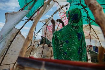 امرأة تقيم مأواها في موقع النزوح في دولو، الصومال.