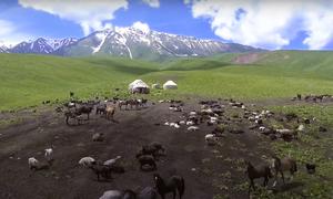 Remote mountain pastures in Kyrgyzstan. 