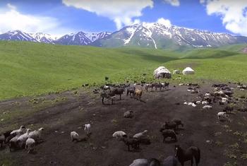Пастбища в отдаленных горных районах Кыргызстана.