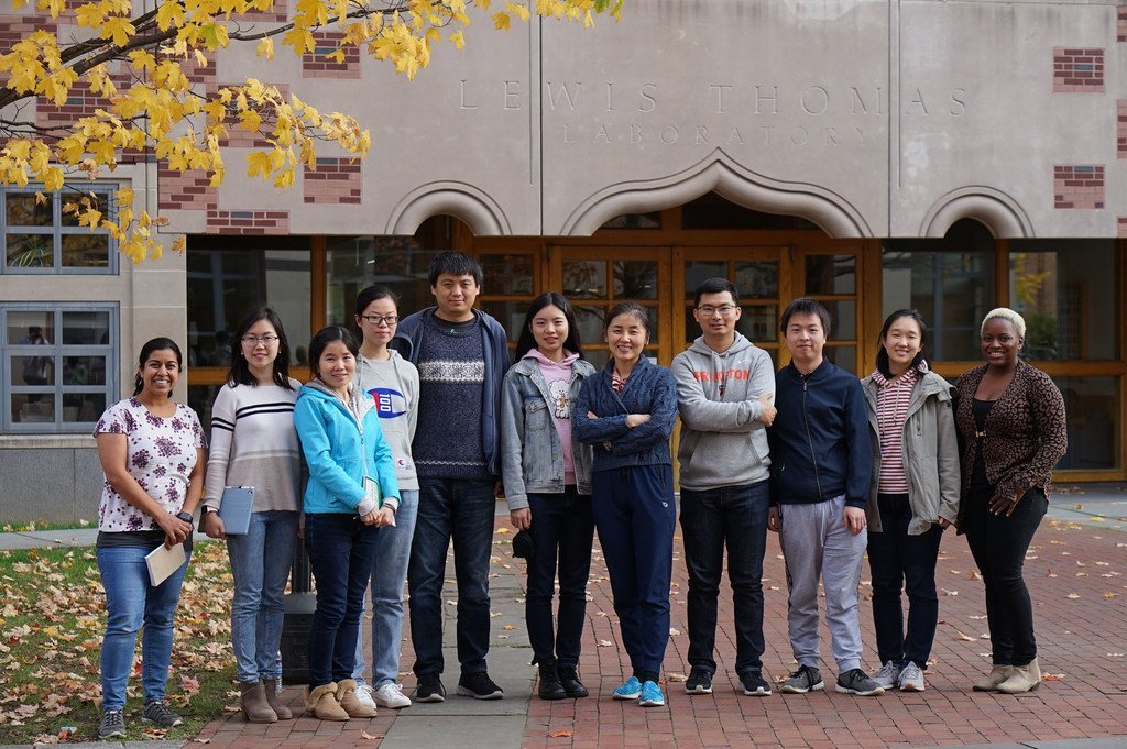 在普林斯顿大学任教时，颜宁和她的分子生物学系团队。