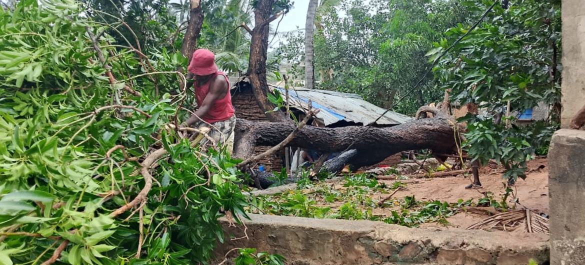 O terceiro ciclone da atual temporada atingiu a região norte de Moçambique, na província de Nampula. O UNICEF e os parceiros da ONU ativaram um Protocolo de Ação Antecipatória para apoiar crianças e famílias impactadas, com o apoio do Fundo de Resposta a…