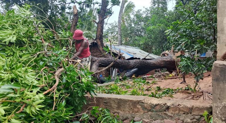 The third cyclone of the current season has hit the northern region of Mozambique, in Nampula province. UNICEF and UN partners activated an Anticipatory Action Protocol to support impacted children and families, with support from UN CERF