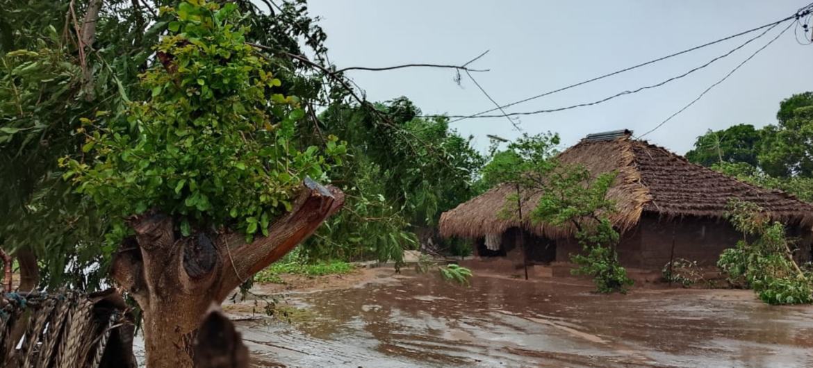 O terceiro ciclone da atual temporada atingiu a região norte de Moçambique, na província de Nampula. O UNICEF e os parceiros da ONU ativaram um Protocolo de Ação Antecipatória para apoiar crianças e famílias impactadas, com o apoio do Fundo de Resposta a…