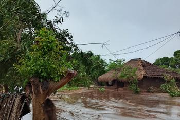 O terceiro ciclone da atual temporada atingiu a região norte de Moçambique, na província de Nampula. O UNICEF e os parceiros da ONU ativaram um Protocolo de Ação Antecipatória para apoiar crianças e famílias impactadas, com o apoio do Fundo de Resposta a Emergências, Cerf