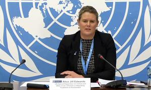 Специальный докладчик ООН по вопросу о пытках Элис Джилл Эдвардс 