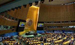 A wide view of the General Assembly. (file photo)