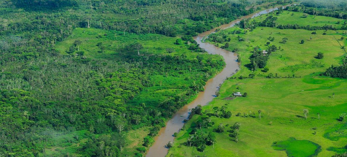 A floresta amazônica, que cobre grande parte do noroeste do Brasil,  é uma grande produtora de chuvas no país, aumentando a oferta de água