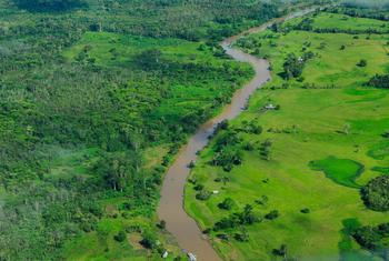 A floresta amazônica, que cobre grande parte do noroeste do Brasil,  é uma grande produtora de chuvas no país, aumentando a oferta de água