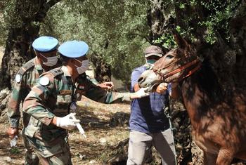 Unifil apoia o governo libanês em ações de proteção das fronteiras do país