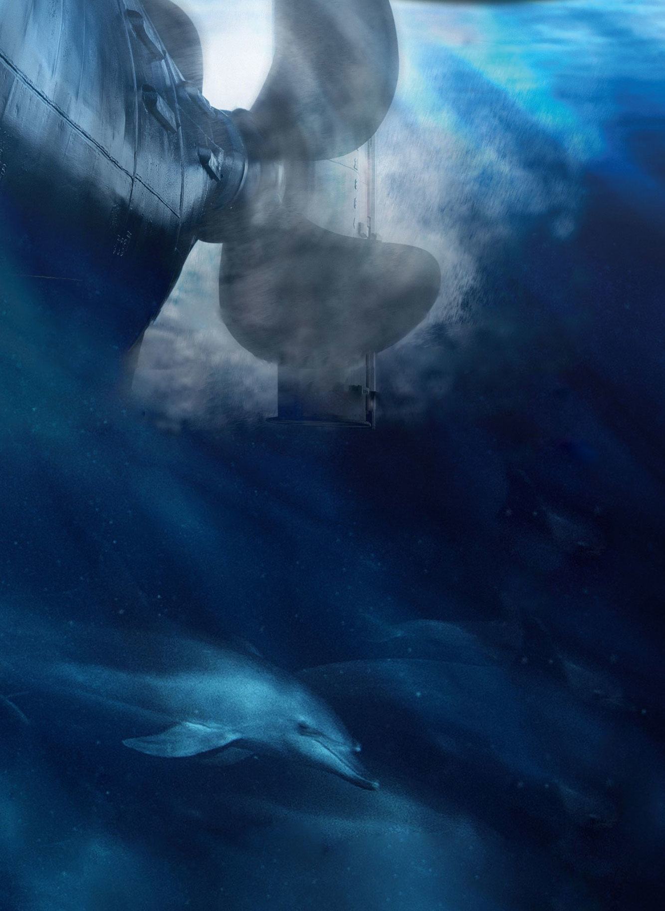 Scientists have documented how the constant mechanical hum of ships can disorient whales, disrupt migration routes, and drown out the acoustic cues that many marine species rely on to survive. Scientists have documented how the constant mechanical hum of ships can disorient whales, disrupt migration routes, and drown out the acoustic cues that many marine species rely on to survive.