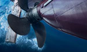  The International Maritime Organization (IMO) is campaigning to curb underwater noise from ships. 