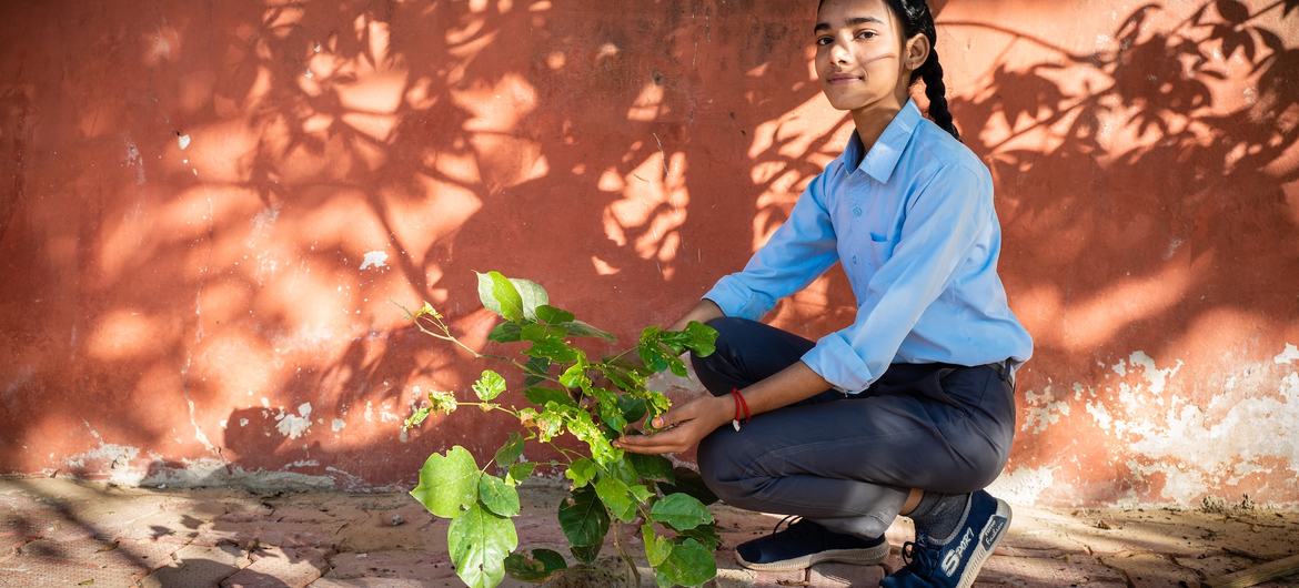 Bal Sabha children are motivating villagers to plant trees to protect the environment. Bal Sabha children are motivating villagers to plant trees to protect the environment.
