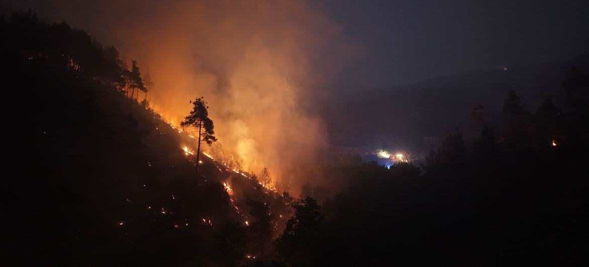 Um incêndio florestal noturno consome uma encosta arborizada no subdistrito de Qastal Maaf, em Latakia, na Síria, com chamas laranja brilhantes e fumaça densa subindo entre as árvores escuras.