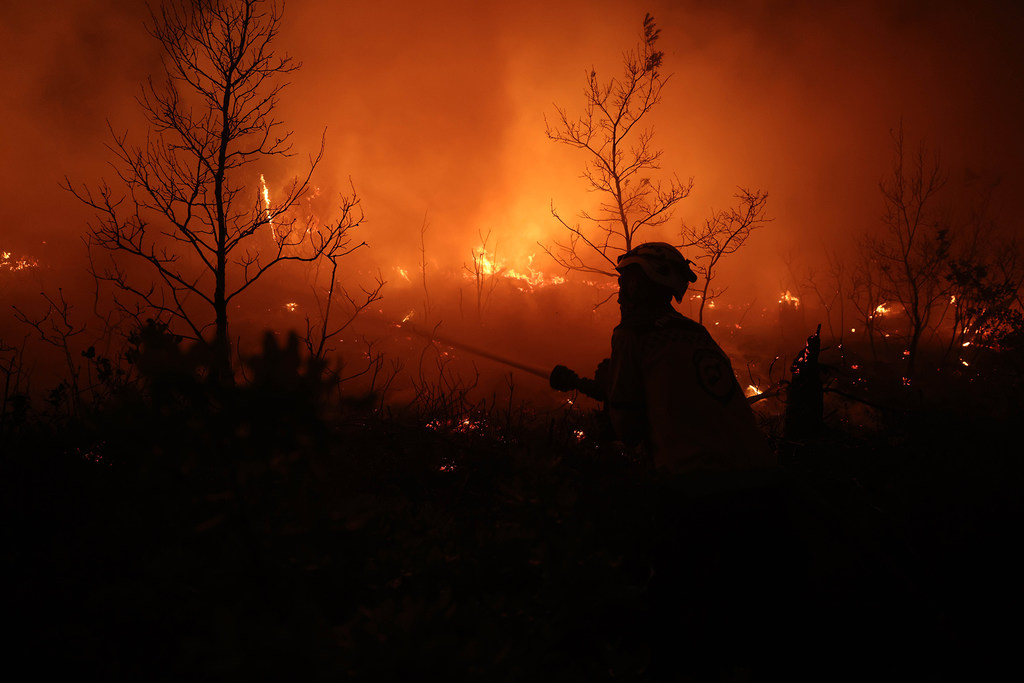 Des incendies ont ravagé de vastes étendues de forêts et de terres agricoles dans 60 communautés du nord de la région rurale de Lattaquié.