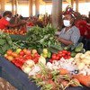 Cooperação entre Angola e as Nações Unidas enfatiza medidas para que o país enfrente os desafios relacionados aos sistemas alimentares