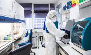 A technician analyzes samples at medical centre laboratory in Bangkok, Thailand. (file)