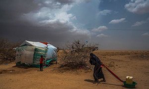 यमन में अपने विस्थापन गृह में पानी खींचकर लाती एक बुज़ुर्ग महिला. देश में युद्ध ने करोड़ों लोगों के लिए भुखमरी के हालात उत्पन्न कर दिए हैं.