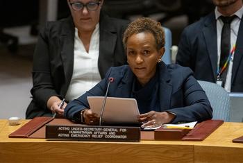 联合国紧急救济副协调员姆苏亚向安理会会议通报乌克兰维护和平与安全的情况。