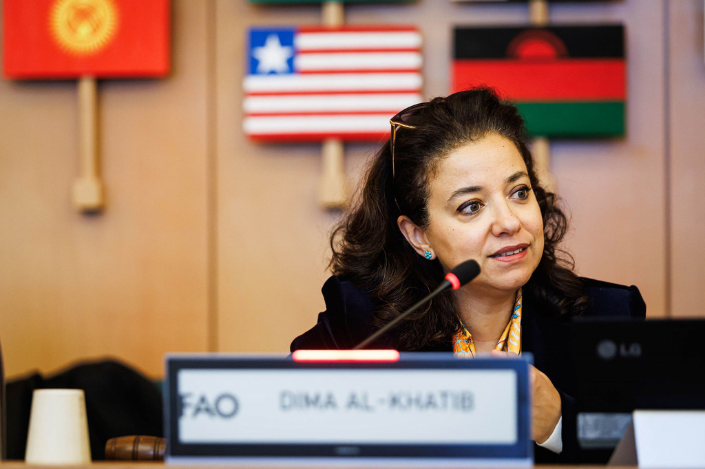 Dima Al-Khatib speaking on South-South and triangular sharing of experiences and innovative approaches in multi-dimensional evaluation, during a conference at FAO Headquarters in Rome, Italy.