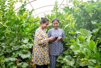 «Живые лаборатории» предоставляют фермерам возможность обмениватьться информацией и идеями, обсуждать проблемы и вместе находить методы их решения. 