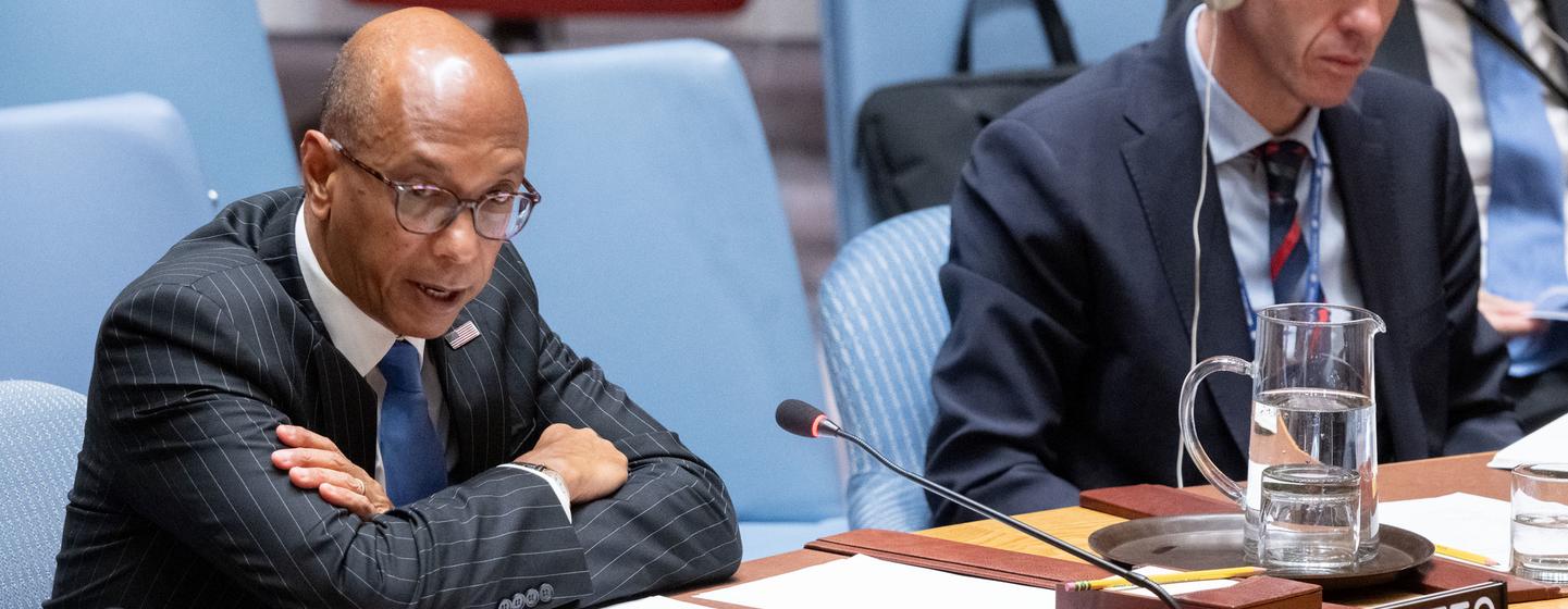 美国常驻联合国副代表罗伯特·A·伍德在安全理事会会议上就中东局势发表讲话。