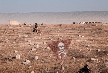 Remoção de minas terrestres no Iraque 