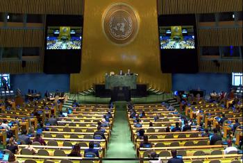 Assembleia Geral reitera que é importante atingir uma paz duradoura