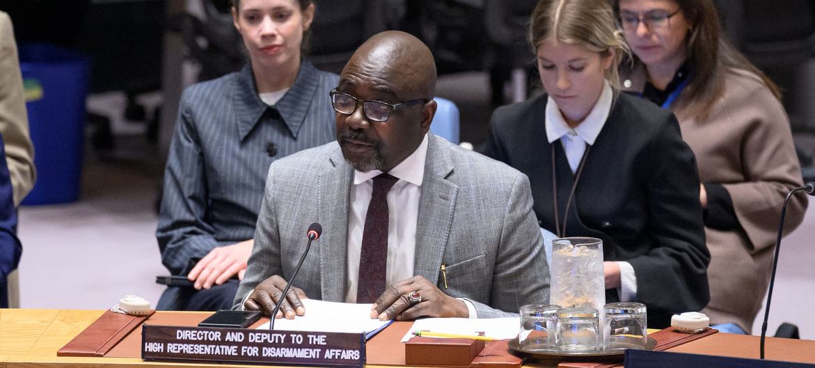 Adedeji Ebo, Deputy to the High Representative for Disarmament Affairs, briefs the Security Council.