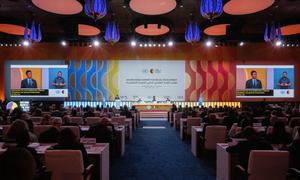 The opening segment of the Second World Summit for Social Development.