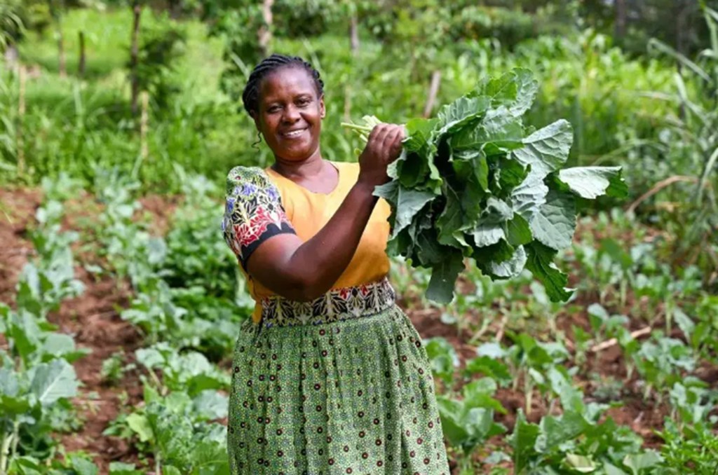 Rhoda Lukaria akivuna mboga za majani, zilizolimwa kwa kutumia mbinu za kilimo bunifu kinachozingatia tabianchi, kutoka shamba la familia yao katika kaunti ya Laikipia, nchini Kenya.