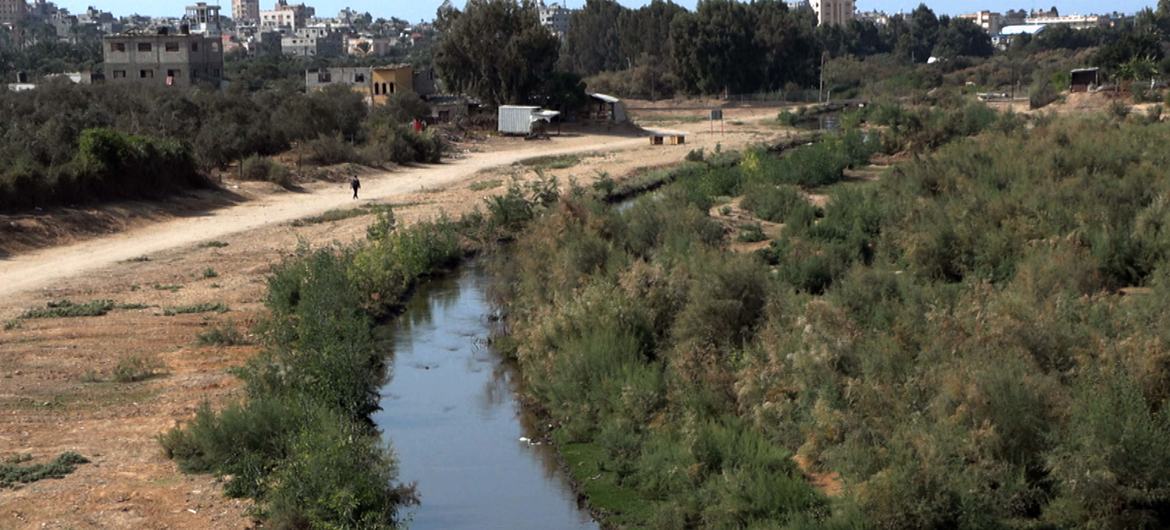 تحويل وادي غزة لمحمية طبيعية.
