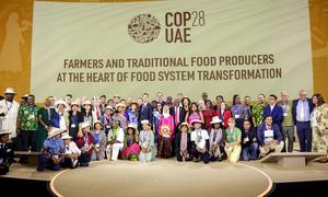 Panelists onstage for the session on ‘Farmers and Traditional Producers’ during the UN Climate Change Conference, COP28, at Expo City, in Dubai, United Arab Emirates.