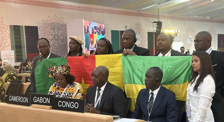 एकांग समुदाय की संगीत और प्रदर्शन परम्परा म्वेट ओयेंग को गाबोन, कैमरून और कॉन्गो ने संयुक्त रूप से प्रस्तुत किया.