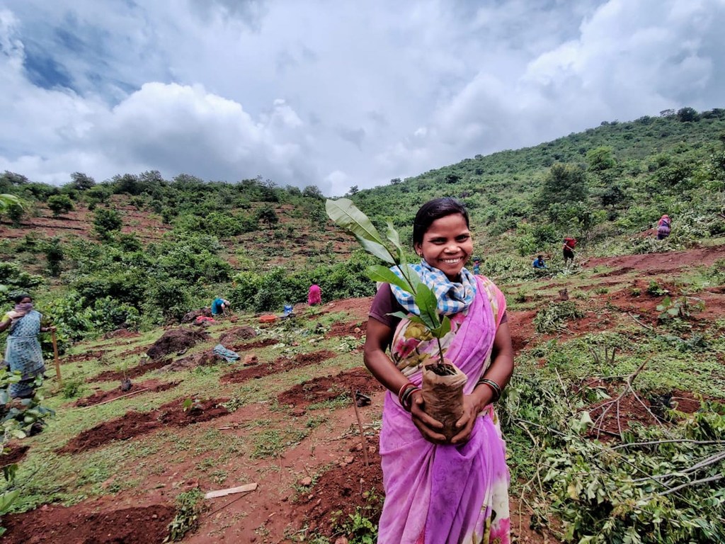 ओडिशा के कालाहांडी में स्थित परजा कोंड जनजाति की एक मुस्कुराती हुई आदिवासी महिला, झरनों की रक्षा के लिए वृक्षारोपण और कंटूर-ट्रेंचिंग गतिविधि के दौरान एक पौधा पकड़े हुए है।