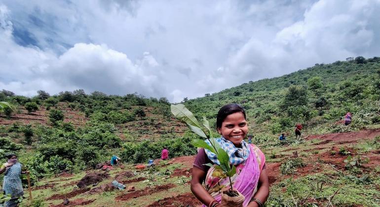   ओडिशा के कालाहाण्डी ज़िले में झरनों की रक्षा के लिये वृक्षारोपण और कण्टूर-ट्रैंचिंग में शामिल एक आदिवासी महिला.