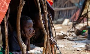 Some 3.8 million people are internally displaced in Somalia.