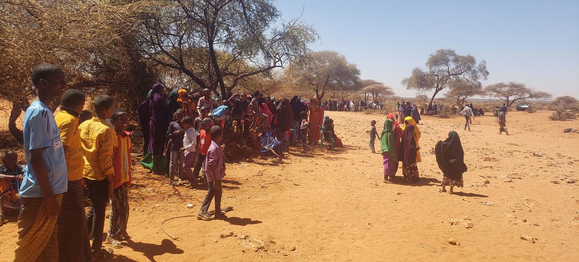 Les réfugiés continuent d'arriver en Ethiopie après avoir fui les affrontements en Somalie.