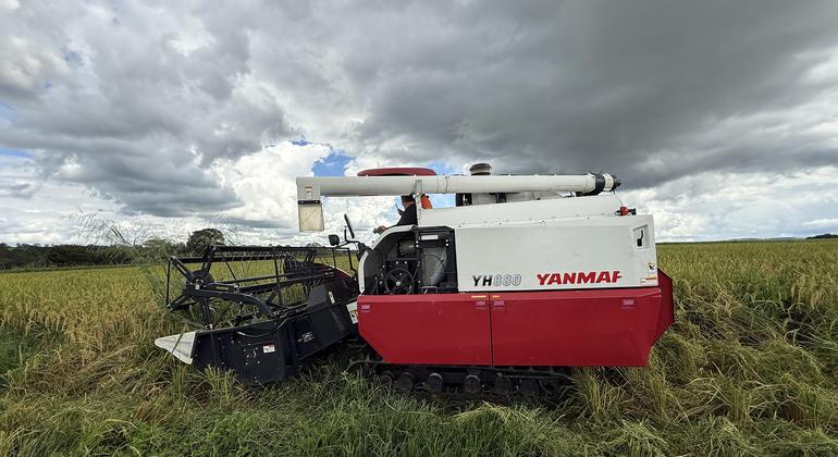 Setor agronegócio, no Brasil Setor agronegócio, no Brasil