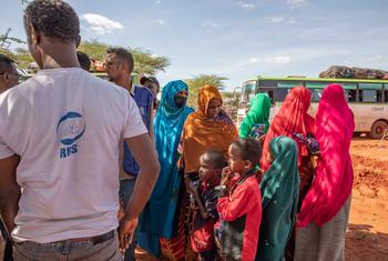 Apoio do Acnur envolve ainda ajuda ao Serviço de Refugiados e Retornados no registro biométrico dos somalis