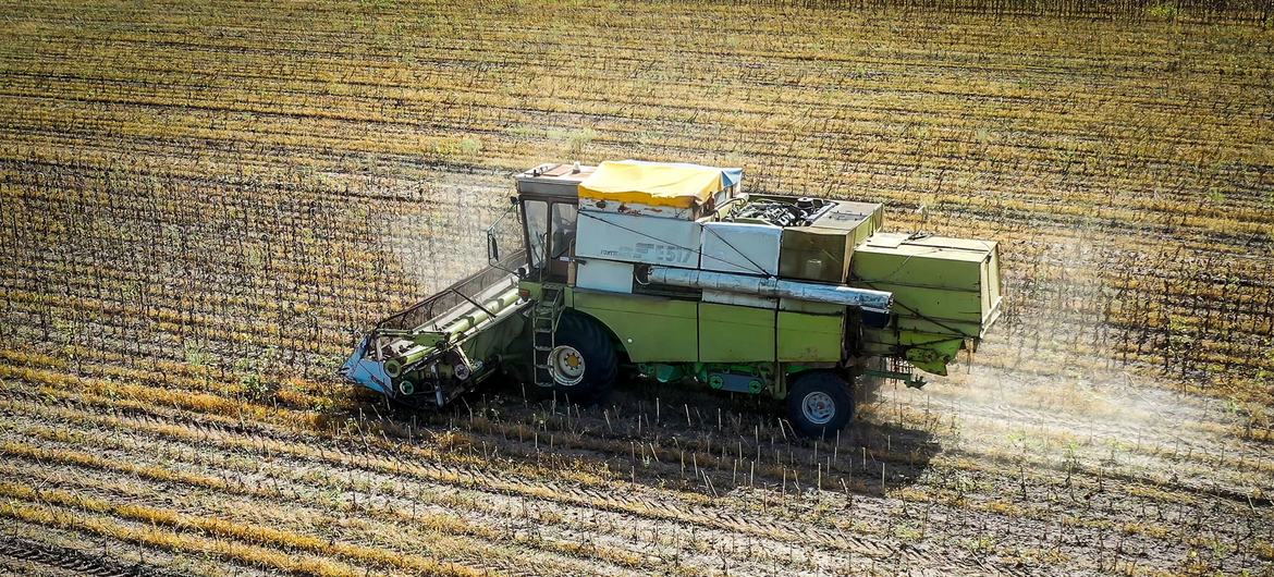 Une exploitation agricole à Baranove, dans la région d'Odessa, en Ukraine.